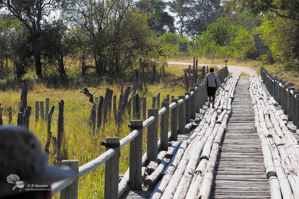 The Bridge over the River Khwai