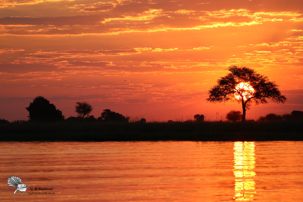 Sunset over the Chobe River