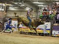 Bullriding