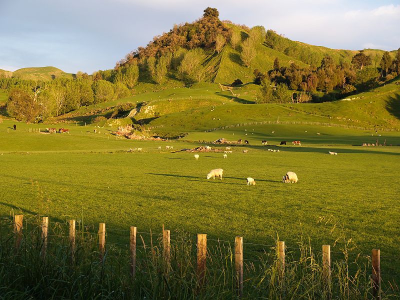 Mangaweka3.jpg - Early morning scene near Mangaweka.