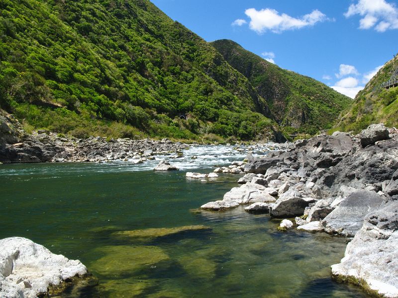 MnRapids8.jpg - Rapids - Manawatu Gorge