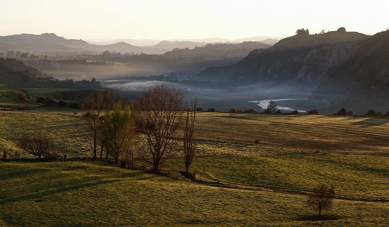 RangitikiDawn_11e.jpg - OLYMPUS DIGITAL CAMERA