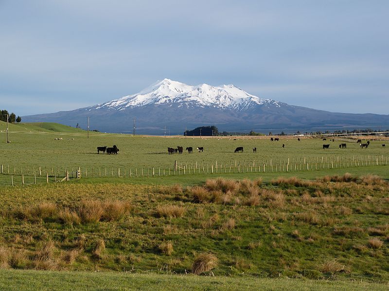 Ruapehu_Waiouru.jpg