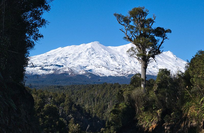 Ruapehu_gully1cr.jpg - Mt Ruapehu